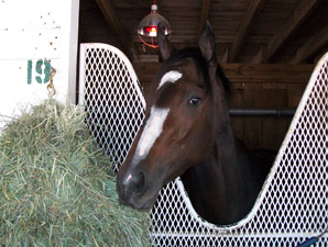 Rachel Alexandra Back at Churchill Downs