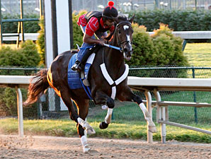 Rachel Alexandra works at Churchill Downs on June 7, 2010.
