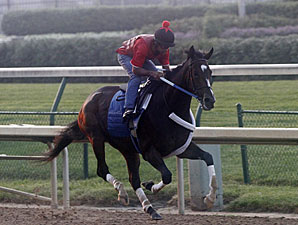 Rachel Alexandra works at Churchill Downs on June 21, 2010.
