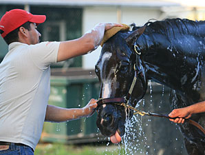 Rachel Alexandra at Monmouth on July 21, 2010.
