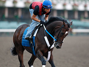 Rachel Alexandra gallops at Monmouth on July 23, 2010.