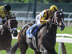 'Rachel' Heads Field of Seven in Haskell 'Rachel' Heads Field of Seven in Haskell