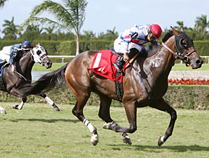 Racing Aptitude wins the 2010 Arthur Appleton Juvenile Turf.