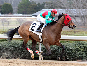 Racing Bran wins the 2010 Essex. 