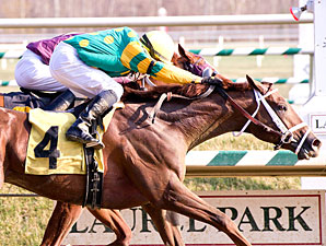 Raconteur wins the 2012 Private Terms.