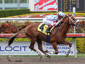 Radiohead wins an allowance race at Gulfstream Park on February 27, 2010.