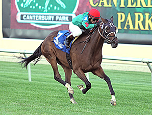 Ragged Edge wins the 2014 Blair's Cove Stakes.