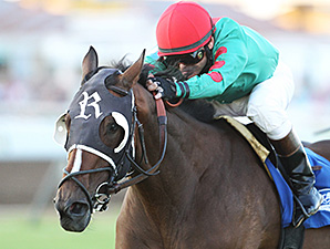 Ragged Edge wins the 2014 Blair's Cove Stakes.