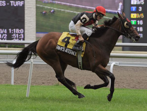 Rahy's Attorney Prevails in Nijinsky Stakes