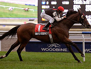 Rahy's Attorney wins the 2009 Bunty Lawless.