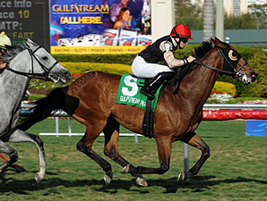 Rahy's Attorney wins the 2011 Pan American.