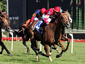 Rahystrada wins the 2010 Arlington Handicap.