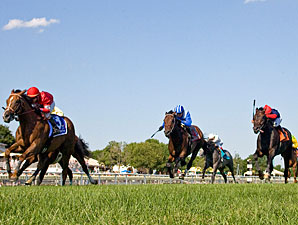 Rahystrada wins the 2010 Arlington Handicap.