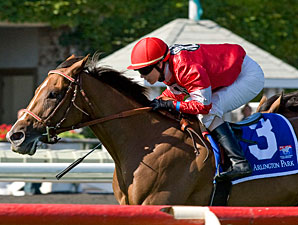 Rahystrada wins the 2010 Arlington Handicap.