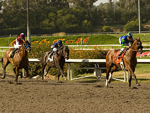 Rail Trip wins the 2010 Californian.
