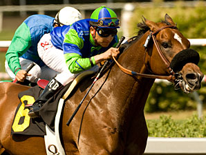 Rail Trip wins the 2010 Mervyn Leroy.