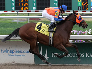 Raiseanothergator wins the 2012 South Mississippi Owner / Breeders Stakes.
