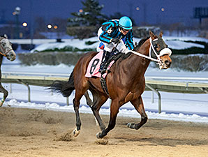 Rambling Richie wins the 2013 Jim Edgar Illinois Futurity.