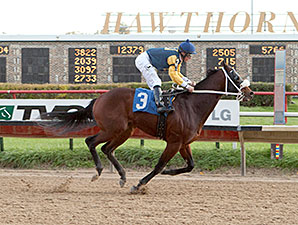 Rambling Richie wins the 2013 Sun Power Stakes.
