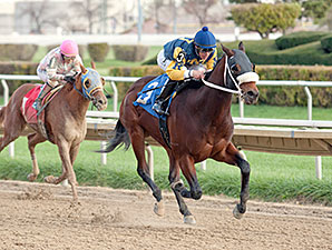 Rambling Richie wins the 2013 Sun Power Stakes.