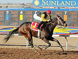Ramona's Wildcat wins the 2014 El Paso Times Handicap.