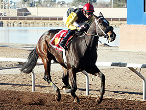 Ramona's Wildcat wins the 2014 El Paso Times Handicap.