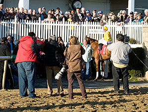 Rapid Redux wins 21st in a row, 12/13/11 at Laurel.