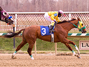 Rapid Redux wins race number 22.