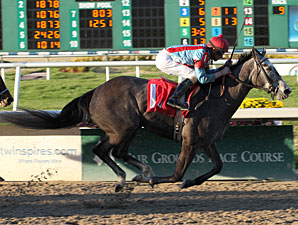 Ravi's Song wins the 2011 Pelleteri.