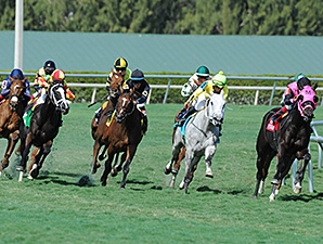Ready Signal wins the Ten Palm Stakes.