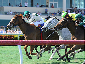 Ready Signal wins the Ten Palm Stakes.