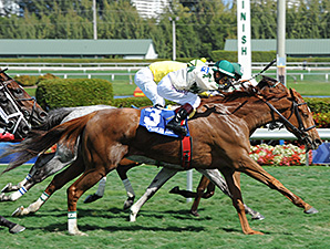 Ready Signal wins the Ten Palm Stakes.