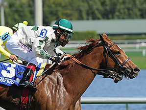 Ready Signal wins the Ten Palm Stakes.