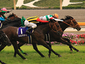 Real Impact wins the 2011 Yasuda Kinen.