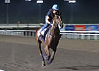 Singapore Cup - Red Cadeaux and Robin Trevor-Jones
