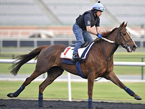 Red Cadeaux - Dubai, March 26, 2013