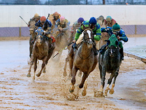 Red Hot Diva wins the 2013 Harry Buch Handicap.