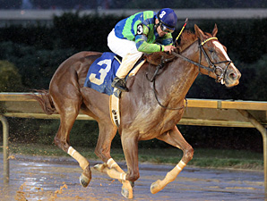 Red Hot Diva wins the 2013 Harry Buch Handicap.