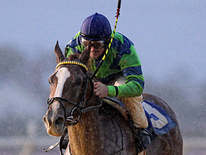 Red Hot Diva wins the 2013 Harry Buch Handicap.