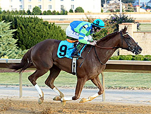 Red Hot Diva wins the 2014 Harry Buch Memorial Handicap.
