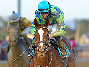 Red Hot Diva wins the 2014 Harry Buch Memorial Handicap.