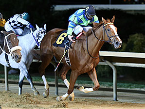 Red Hot Diva wins the 2013 My Sister Pearl Stakes.