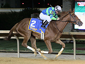 Red Hot Diva wins the 2013 West Virginia Breeders Classic Distaff Stakes.