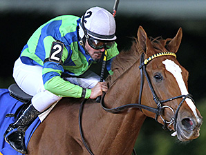 Red Hot Diva wins the 2013 West Virginia Breeders Classic Distaff Stakes.