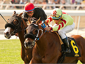 Red Outlaw wins the Baffle Stakes.