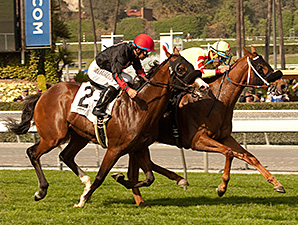 Red Outlaw wins the Baffle Stakes.