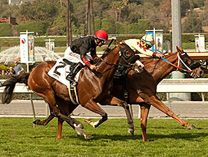 Red Outlaw wins the Baffle Stakes.