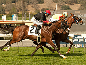 Red Outlaw wins the Baffle Stakes.