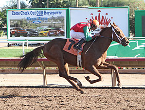 Red Zeus wins the 2012 Arizona Breeders' Futurity (Colts and Geldings).