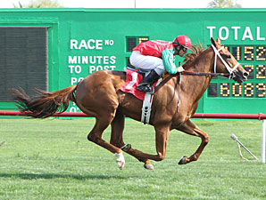 Red Zeus wins the 2013 Arizona Stallion Stakes.